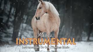 Musica Instrumental de Oro Para Escuchar - 50 Grandes Hits Instrumentales 2