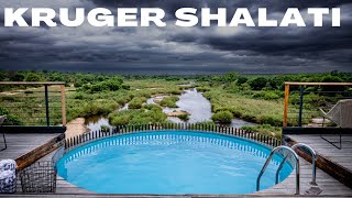 KRUGER SHALATI | TRAIN ON THE BRIDGE | KRUGER MAGIC