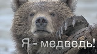 Тизер//Знакомьтесь, бурый медведь Миша, с  Камчатки.//Я - медведь!#0//Природа для самых маленьких.