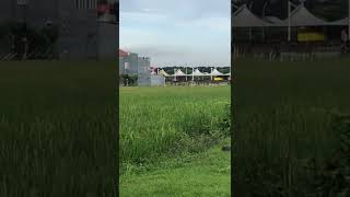 Burung burung bernyanyi… sawah puri surya jaya