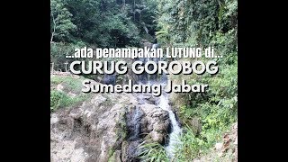 CURUG GOROBOG SUMEDANG JABAR - ada penampakan LUTUNG