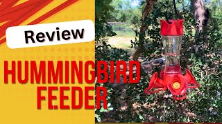 Check Out How The Design Of This HummingBird Feeder Stops Ants and Bees!