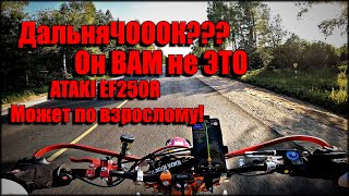 ATAKI EF250R Держит удар!. Буксует сцепление - ПроСтантил какашку. #эндуро #дальняк #стант