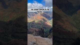 Waimea Canyon is the Grand Canyon of the Pacific! #nature #hawaii #waimea #youtubeshort #naturelover