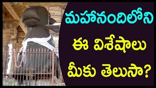 Unknown Facts of Mahanandi   మహానందిలోని ఈ విశేషాలు మీకు తెలుసా