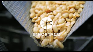 Importaco: Grupo de alimentación internacional