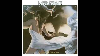 Under the gun - Melidian