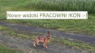 Pracownia przeniesiona z Wrocławia na wieś. Takie piękne widoki. Zapraszam do zamówień i wspierania!