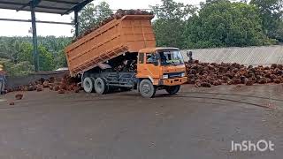 truk sawit tronton bongkar di hari libur!!@suriadi kw loader