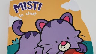 MISTI LE CHAT