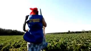 Девушка с клубникой в руках / Girl with strawberries in hands