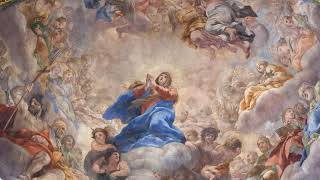 Live: The Solemnity of the Assumption of the Blessed Virgin Mary