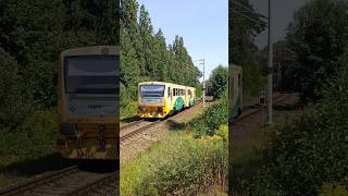 Regionova 814 300-0 projíždí přes železniční přejezd v Týništi nad Orlicí #shorts #trains