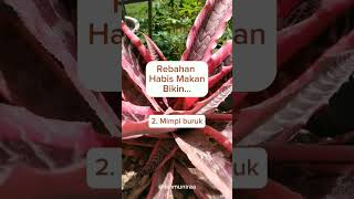 Rebahan habis makan bikin #tipsehat