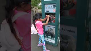 Penny Souvenir Collectibles @BronxZoo #shorts