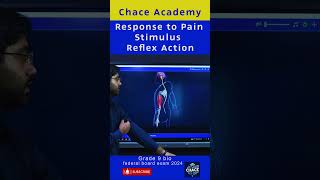 Response to Pain Stimulus / Reflex Action #education #ncp