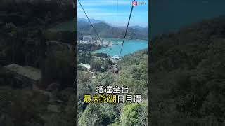 全台最大賞櫻景點～九族文化村，南投浪漫粉色大道