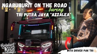 SEPANJANG JALAN FULL TELOLET BASURI😵❗❗||Notr semarang 30 maret 2024! Part1 #busgarage