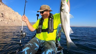 Old Town Autopilot 136: Willow Beach and Echo Bay with launch reports #lakemeadstriper #autopilot136