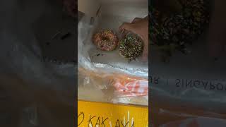 Jco kuy