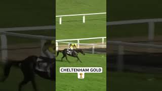 Galopin DeChamps wins the 2024 Cheltenham Gold Cup #youtubeshorts #horseracing #horse #racing #fyp