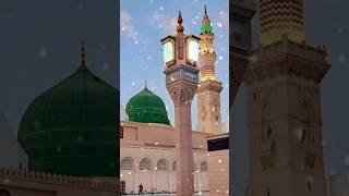 naat Sharif status 💕#shortsfeed #youtubeshorts #islamicvideo #shortvideo #shorts