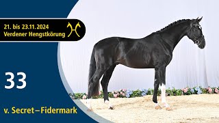 No. 33 Stallion by Secret - Fidermark | Verden Stallion Licensing 2024 - Dressage - Nov. 22/23