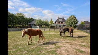 Een dijk van een landhuis, Waaldijk 5 in Dreumel