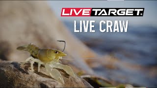 Discover the NEW LIVE Craw from LiveTarget