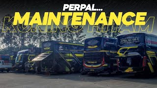 STJ‼️PERPAL, MAINTENANCE... || SQUAD KUNING HITAM BERKUMPUL DISINI 😱😱..