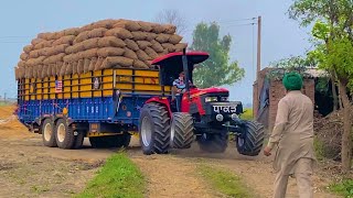 ARJUN 555 WITH 601 BORI 300Q+ WEIGHT IN 24FT TRALLA