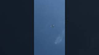 United Airlines Boeing 767-322ER flyover [N652UA] #shorts #flight #shortsreels