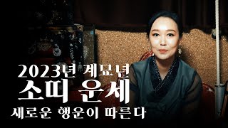 (유명한점집)(띠별운세) 2023년 계묘년 소띠 운세!! #띠별운세 #소띠운세 #운세