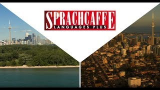 Welcome to Sprachcaffe Toronto! [Subtitles]