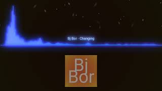 DJ Bor - Changing