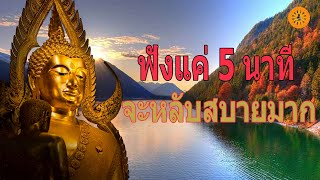 EP1002.【ทางผิด】 ฟังธรรมะก่อนนอน Sleep and listen to Dharma