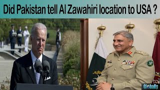 Pakistan helped USA to eliminate Al Zawahiri ?