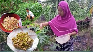 Mencari Pakan Ternak, Memasak Menu Sederhana Tumis Bunga pepaya, Teri dan Tempe