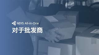 NSYS All-in-One 对于批发商