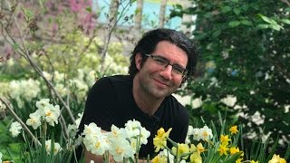 Gardening Tips with Paul Zammit: Spring Flowering Bulbs