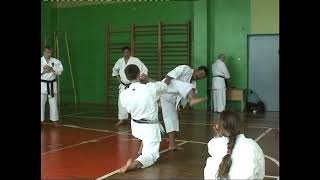 Sadashige Kato Kumite exercises