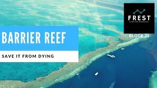 Great Barrier Reef Australia | Amazing Great Barrier Reef Tour