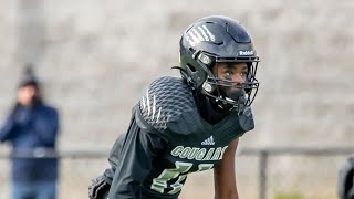 AMEER GRANDBERRY of THE HARRISBURG COUGARS is a ROUTE RUNNING SPECIALIST! 2023 WR/DB