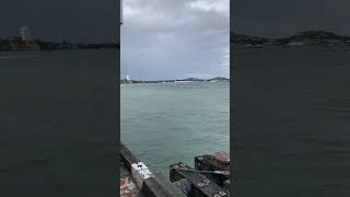 Port of Auckland #shortsvideo #newzealand #ttf