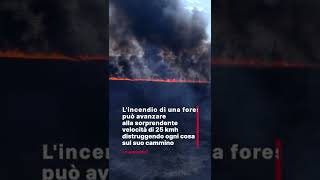 Inarrestabile fuoco