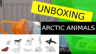 Unboxing safariltd.com arctic animals