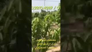 من افضل مزارع طريق مصر اسكندرية الصحراوي