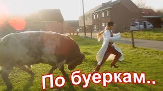 ВОТ ТАК ПЕСНЯ!))) "ПО БУЕРКАМ..." - Ансамбль Калина! Russian folk song...