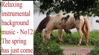 relaxing instrumental background music-No12 the spring has just come