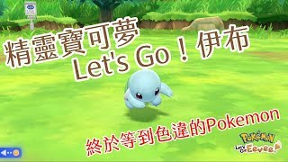 [遊戲] [NS] Pokemon Let's Go! 色違 傑尼龜 Shiny Squirtle